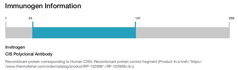 CIS Polyclonal Antibody