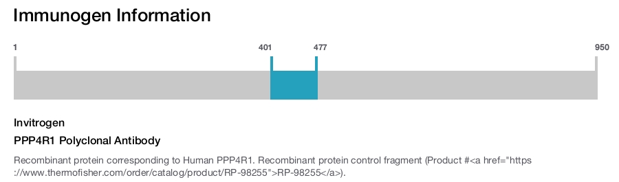 PPP4R1 Polyclonal Antibody