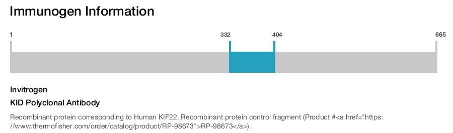 KID Polyclonal Antibody