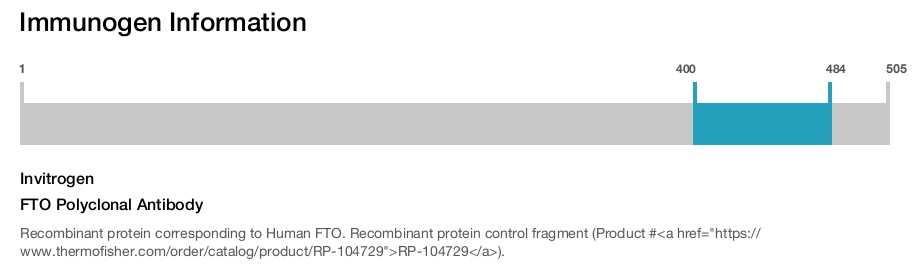 FTO Polyclonal Antibody