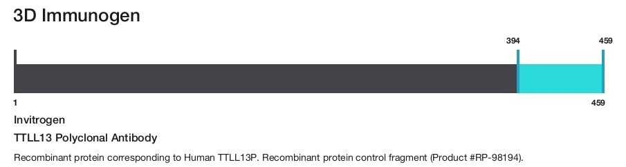 TTLL13 Polyclonal Antibody