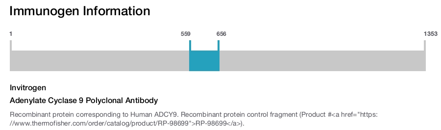 Adenylate Cyclase 9 Polyclonal Antibody