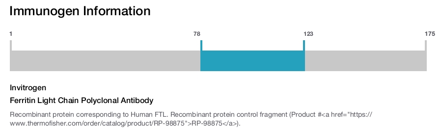 Ferritin Light Chain Polyclonal Antibody