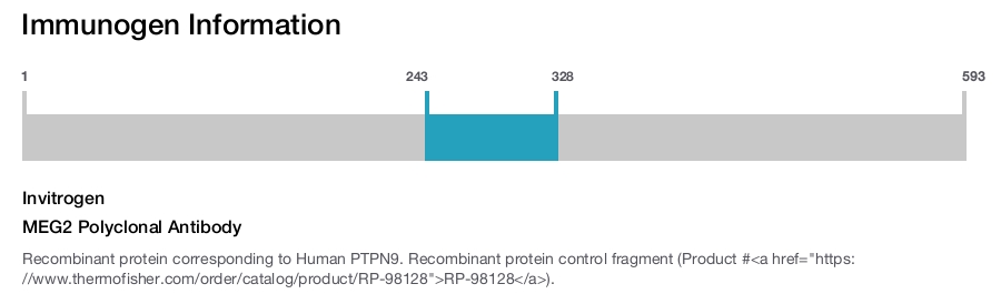 MEG2 Polyclonal Antibody
