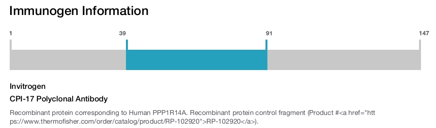 CPI-17 Polyclonal Antibody