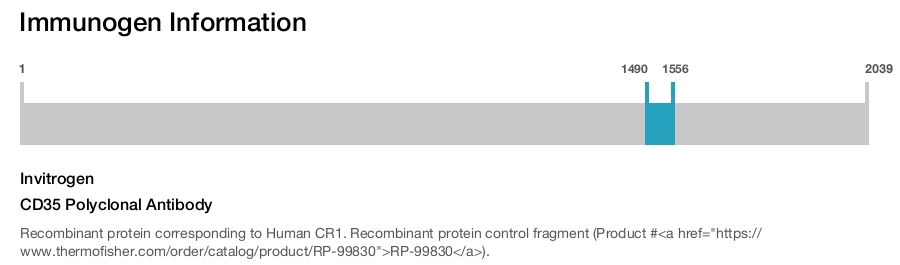 CD35 Polyclonal Antibody