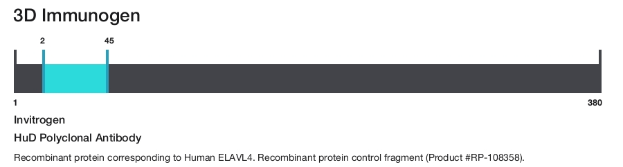 HuD Polyclonal Antibody