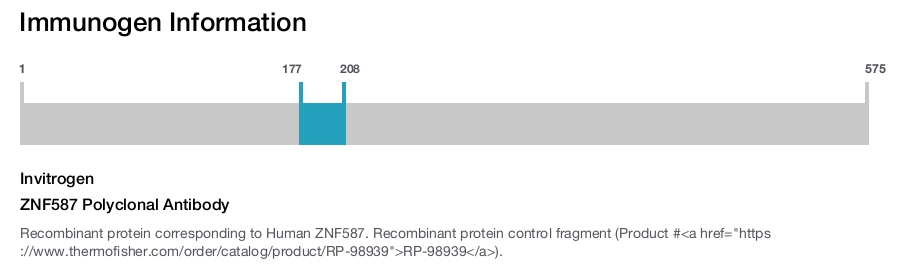 ZNF587 Polyclonal Antibody