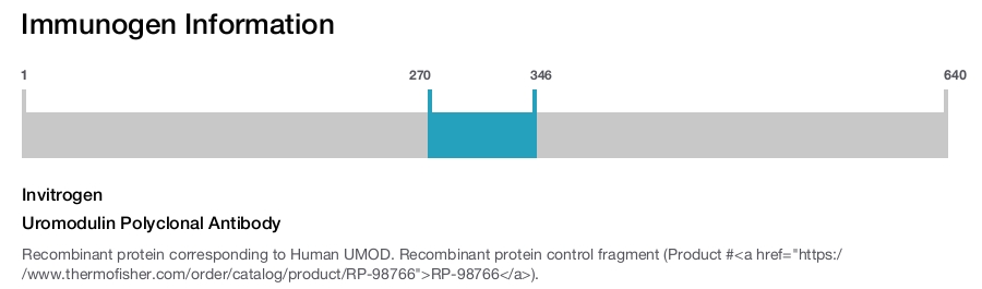Uromodulin Polyclonal Antibody