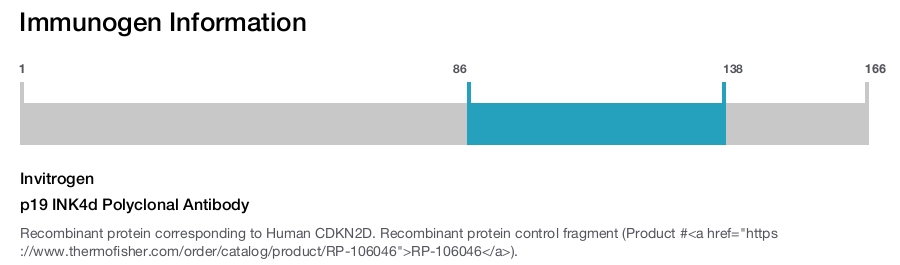 p19 INK4d Polyclonal Antibody