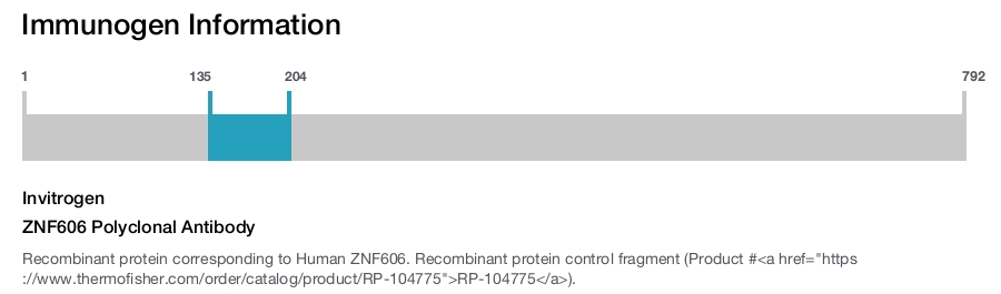 ZNF606 Polyclonal Antibody