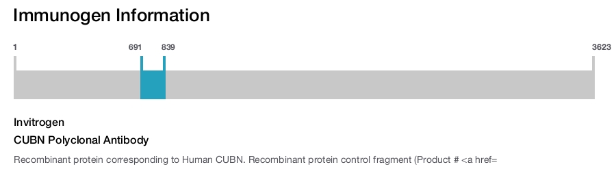 CUBN Polyclonal Antibody