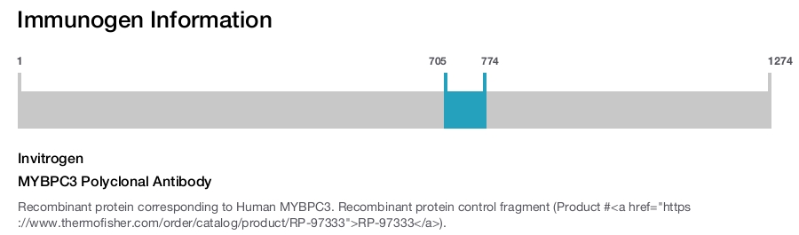 MYBPC3 Polyclonal Antibody