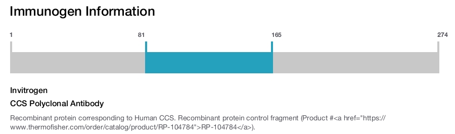 CCS Polyclonal Antibody