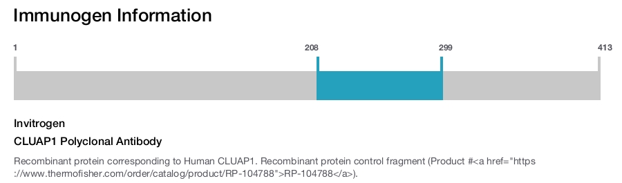 CLUAP1 Polyclonal Antibody