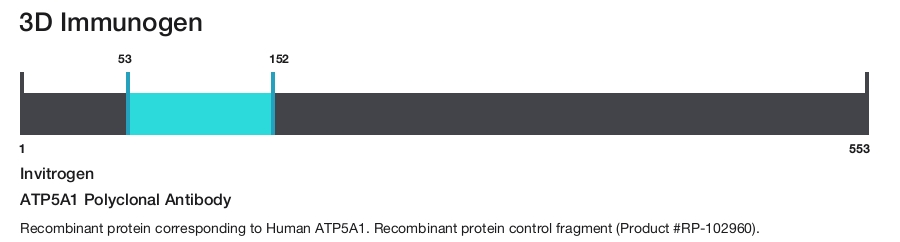 ATP5A1 Polyclonal Antibody