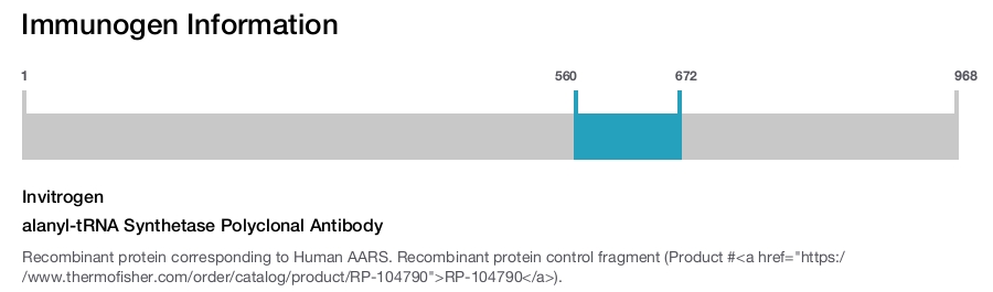 alanyl-tRNA Synthetase Polyclonal Antibody