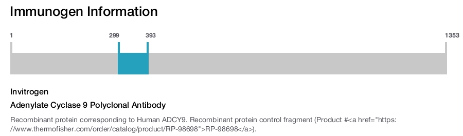 Adenylate Cyclase 9 Polyclonal Antibody
