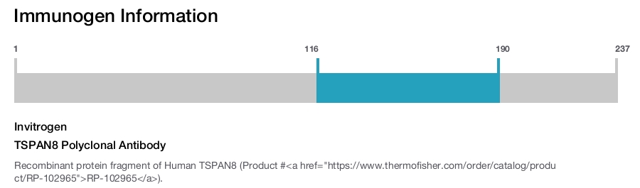 TSPAN8 Polyclonal Antibody