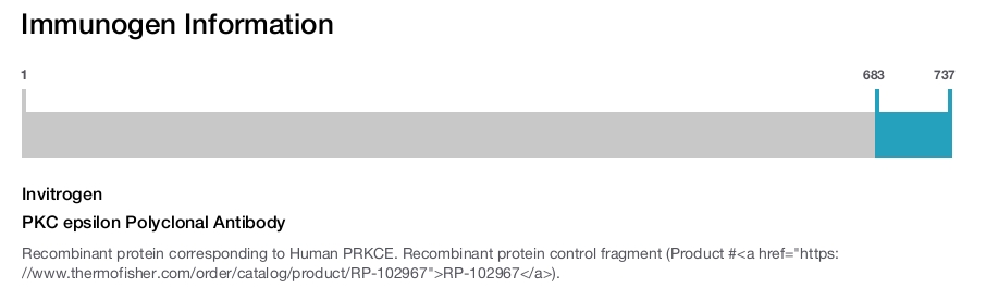 PKC epsilon Polyclonal Antibody