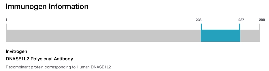 DNASE1L2 Polyclonal Antibody