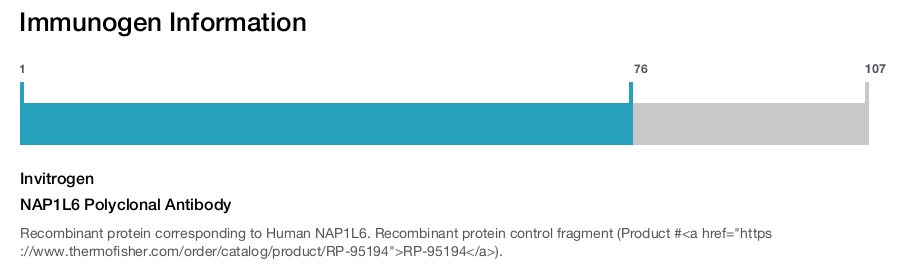 NAP1L6 Polyclonal Antibody