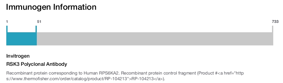RSK3 Polyclonal Antibody