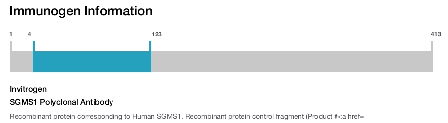 SGMS1 Polyclonal Antibody