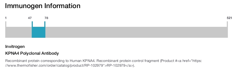 KPNA4 Polyclonal Antibody