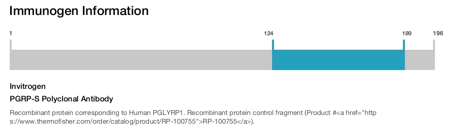 PGRP-S Polyclonal Antibody
