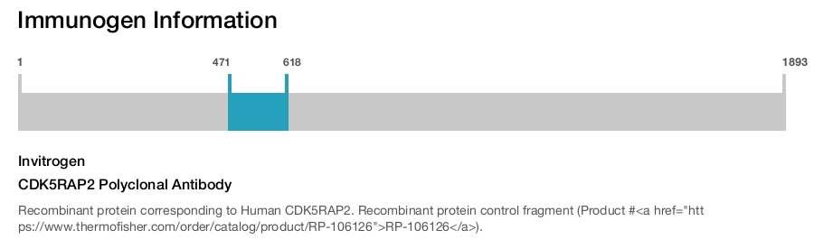 CDK5RAP2 Polyclonal Antibody
