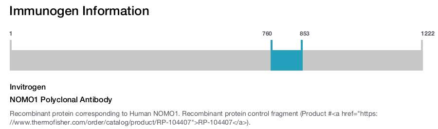 NOMO1 Polyclonal Antibody