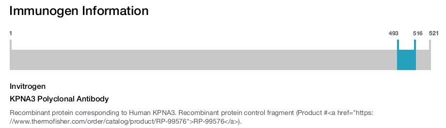 KPNA3 Polyclonal Antibody