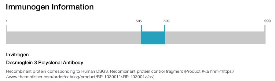 Desmoglein 3 Polyclonal Antibody