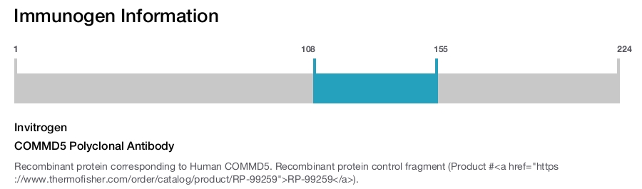 COMMD5 Polyclonal Antibody