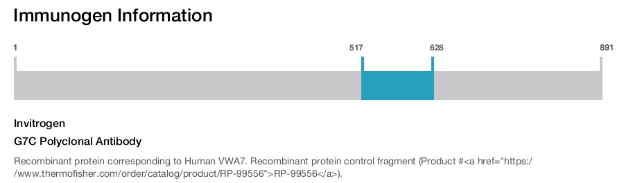 G7C Polyclonal Antibody