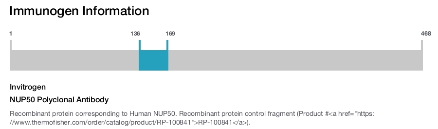 NUP50 Polyclonal Antibody