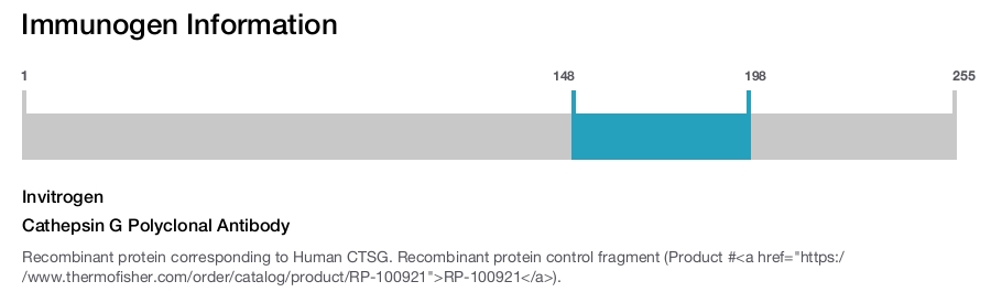 Cathepsin G Polyclonal Antibody