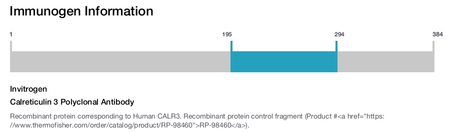 Calreticulin 3 Polyclonal Antibody