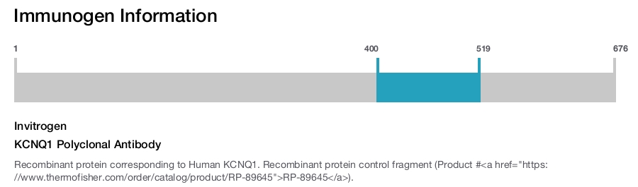 KCNQ1 Polyclonal Antibody