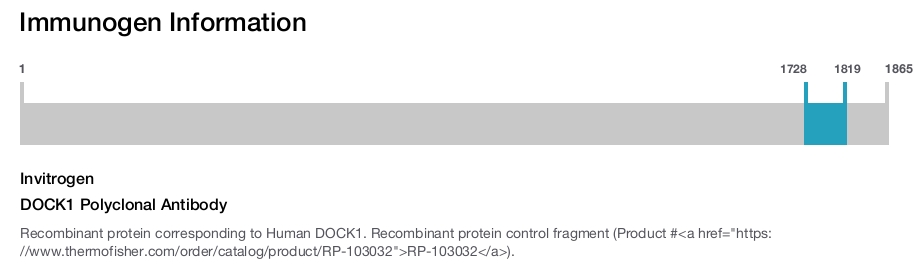 DOCK1 Polyclonal Antibody