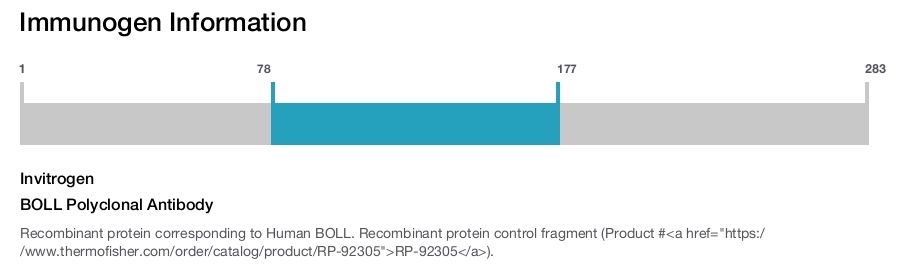 BOLL Polyclonal Antibody