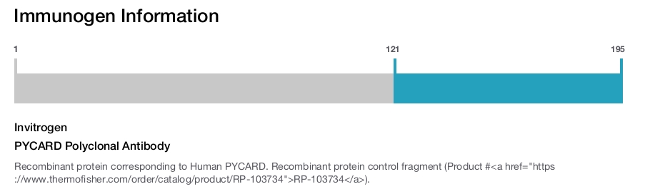 PYCARD Polyclonal Antibody