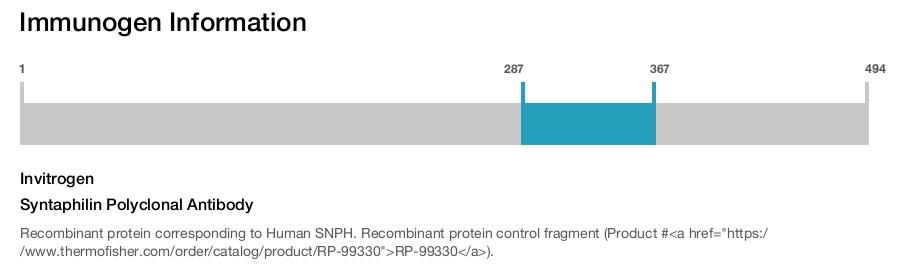 Syntaphilin Polyclonal Antibody