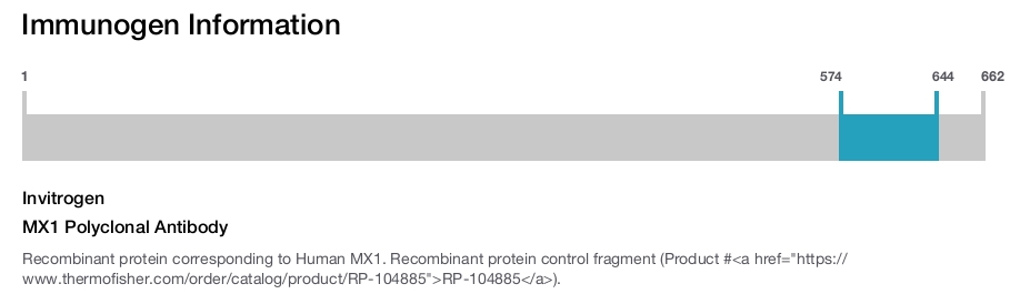 MX1 Polyclonal Antibody