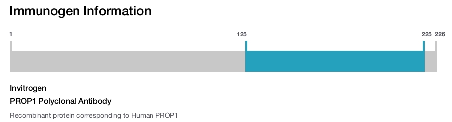 PROP1 Polyclonal Antibody