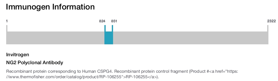NG2 Polyclonal Antibody