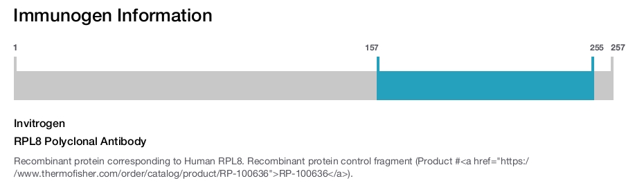 RPL8 Polyclonal Antibody