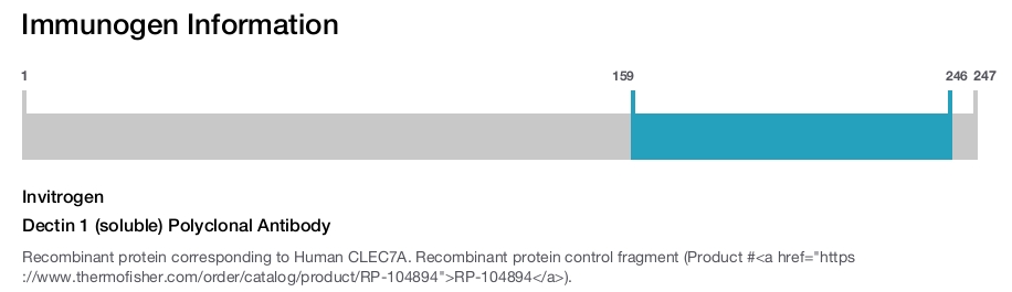 Dectin 1 (soluble) Polyclonal Antibody