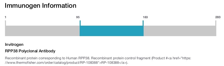 RPP38 Polyclonal Antibody